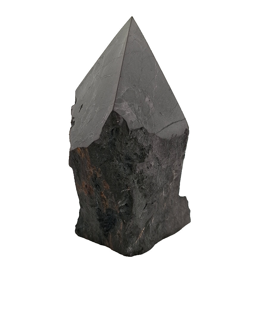 Shungite Point