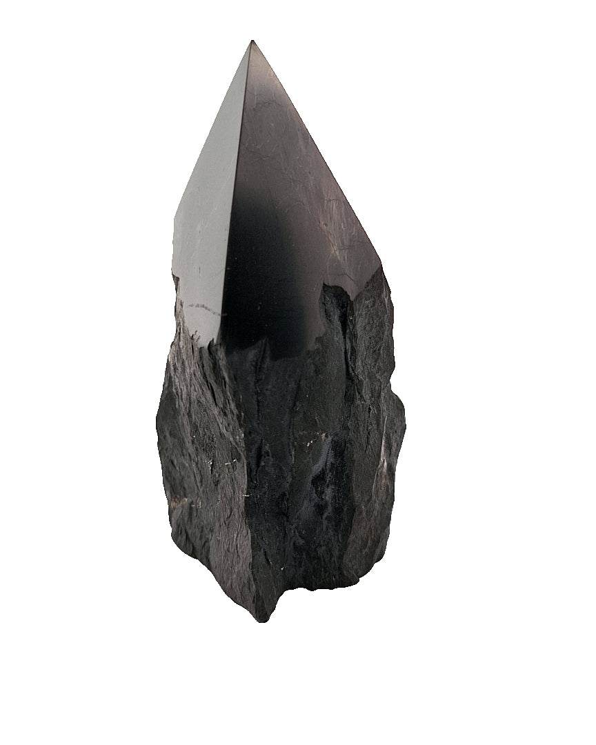 Shungite Point