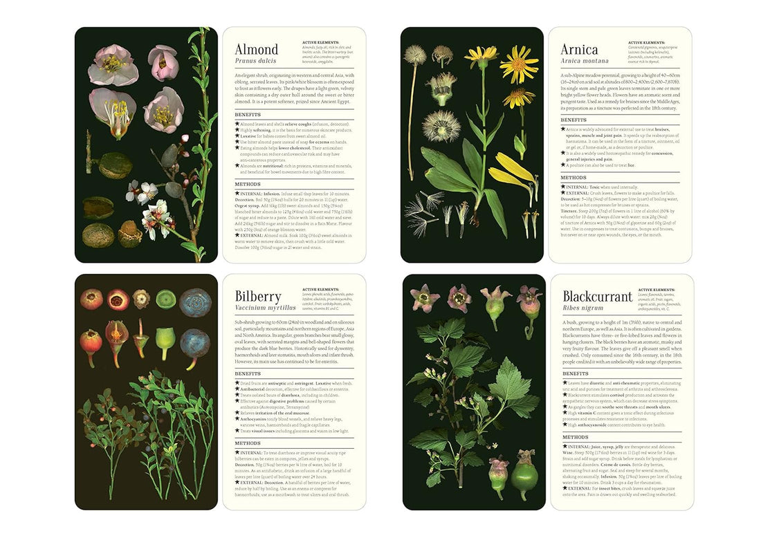 50 Plants that Heal