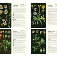 50 Plants that Heal