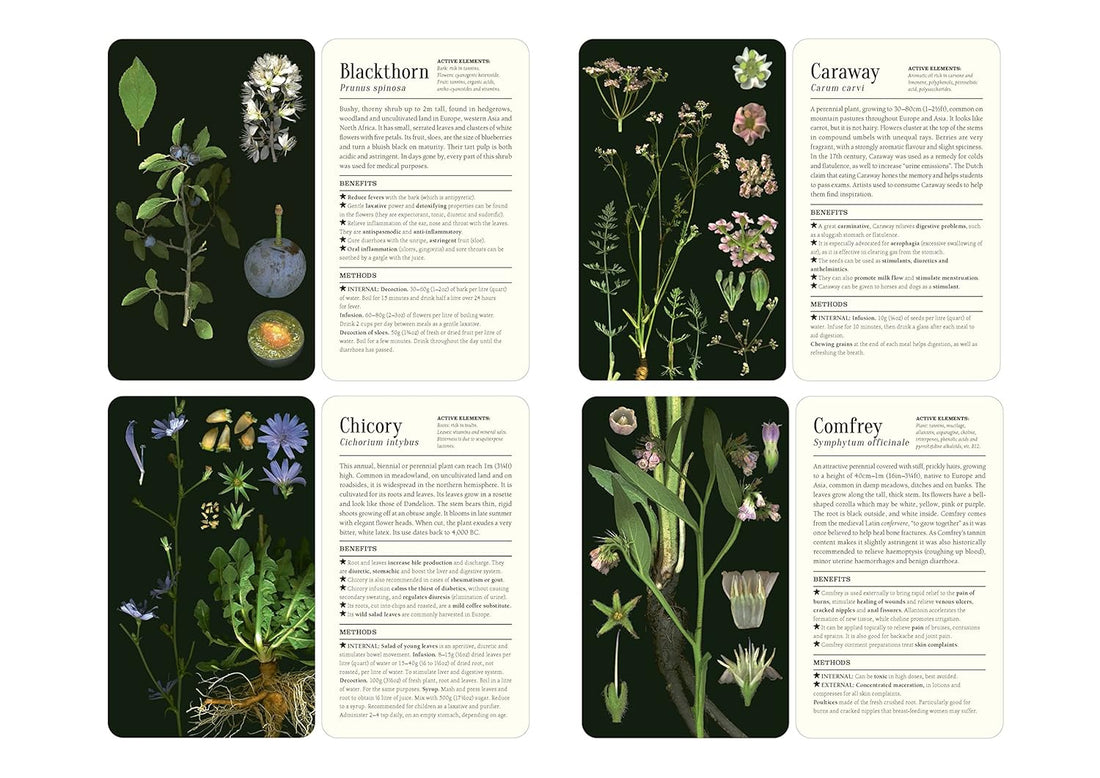 50 Plants that Heal