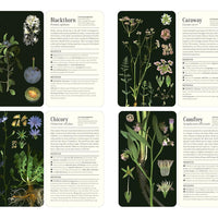 50 Plants that Heal