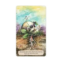 BONESTONE & EARTHFLESH TAROT: THE REAWAKENING