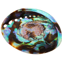Abalone Shell