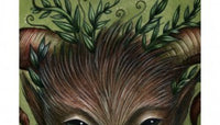 Forest Fae: Curious Messages of Enchantment