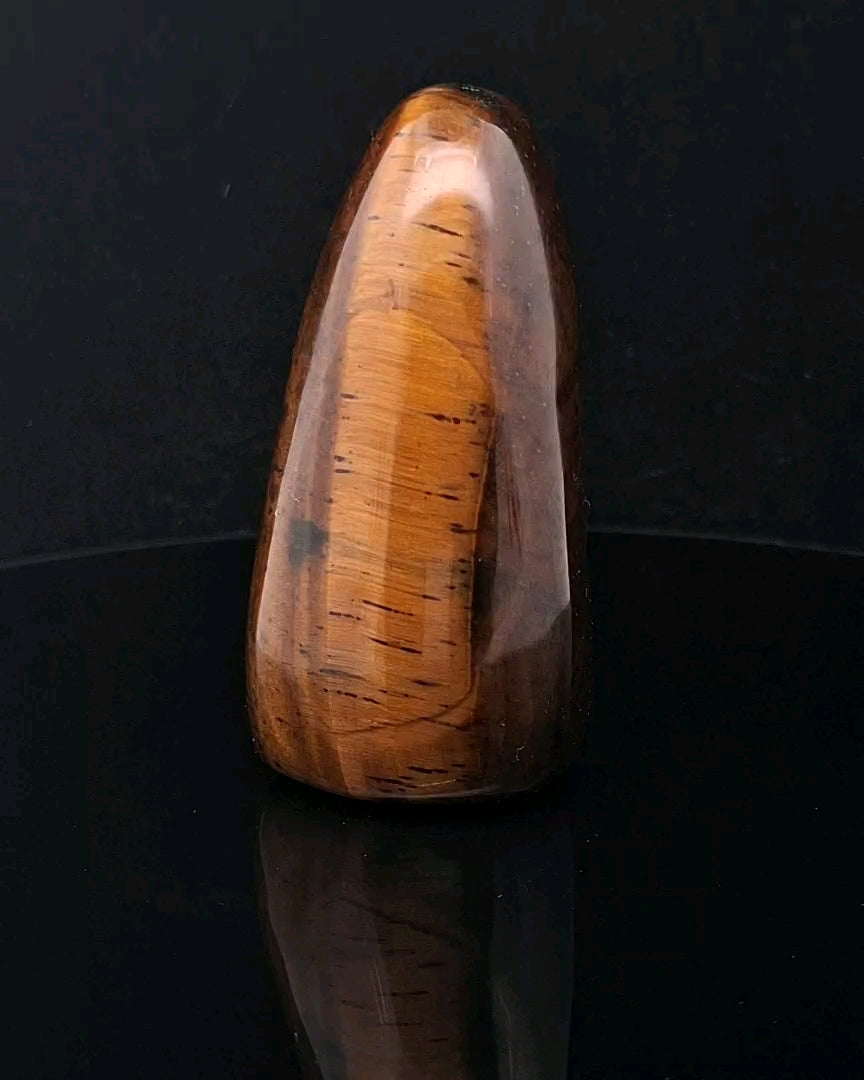 Tiger Eye Standing Freeform