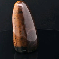 Tiger Eye Standing Freeform