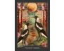 Guardian of the Night Tarot