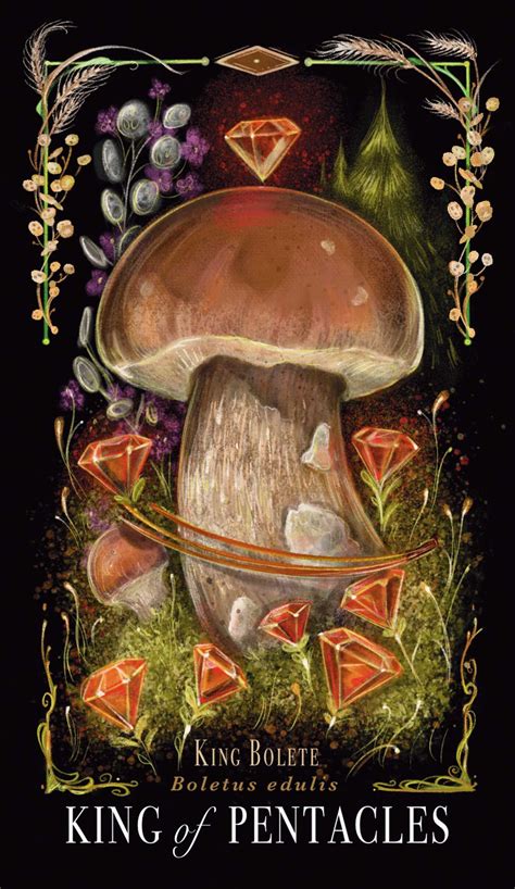 Midnight Magic: A Tarot Deck of Mushrooms