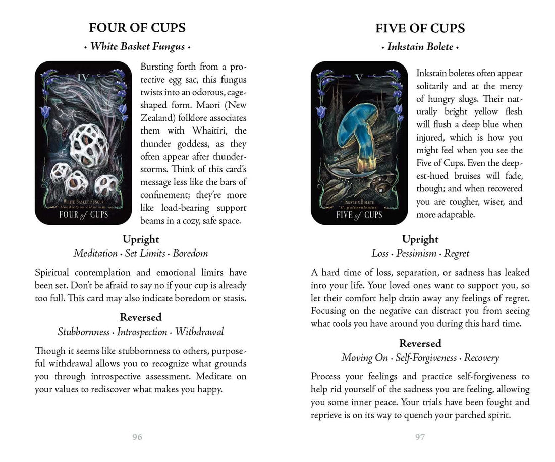 Midnight Magic: A Tarot Deck of Mushrooms