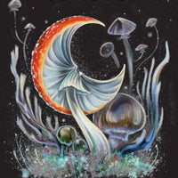 Midnight Magic: A Tarot Deck of Mushrooms