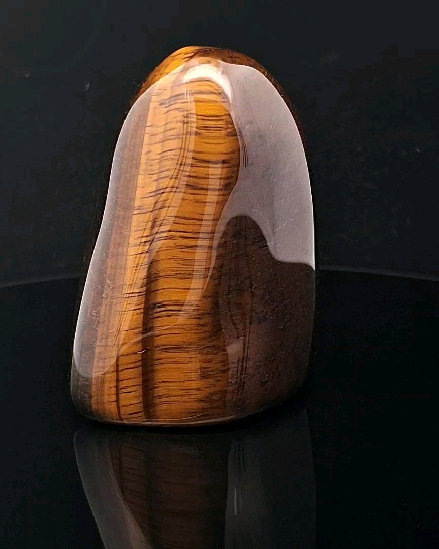 Tiger Eye Standing Freeform