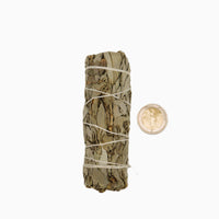 White Sage