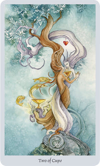 Shadowscapes Tarot Set