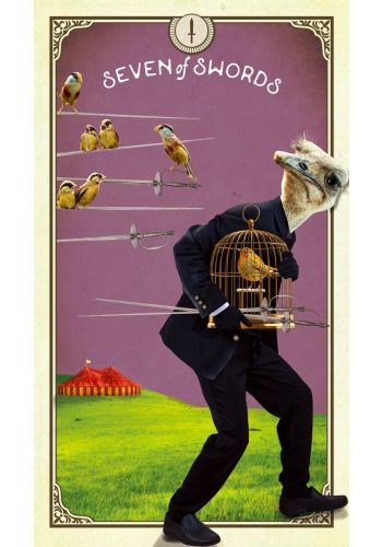 The Tarot Of Curious Creatures