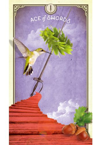 The Tarot Of Curious Creatures