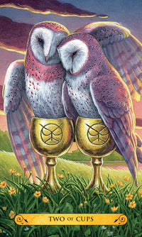 Tarot Of The Owls