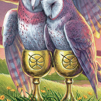 Tarot Of The Owls