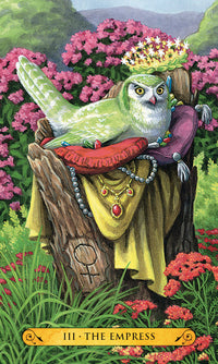 Tarot Of The Owls