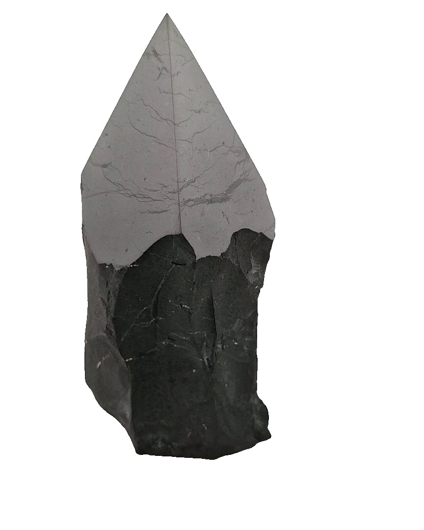 Shungite Point