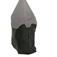 Shungite Point
