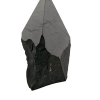 Shungite Point