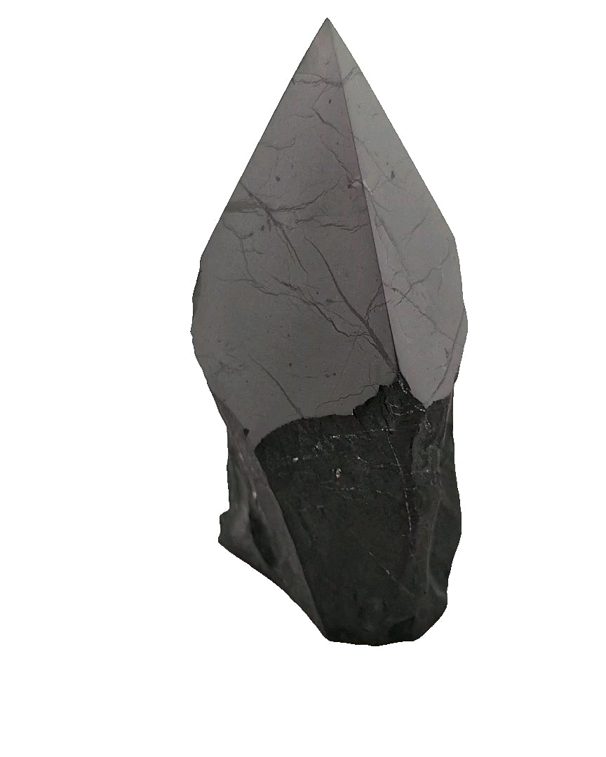 Shungite Point
