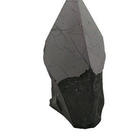 Shungite Point