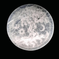 Selenite Charging Disc - Tree of Life 10cm