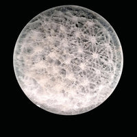 Selenite Charging Disc - Flower of Life 10cm