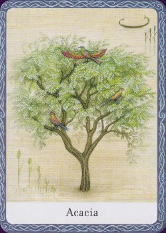 Wisdom of Trees Oracle