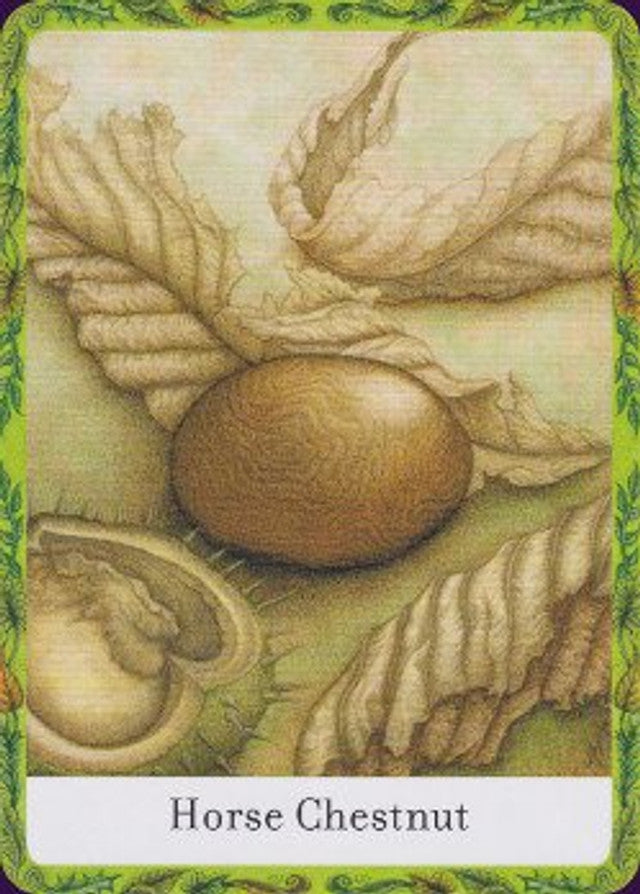 Wisdom of Trees Oracle