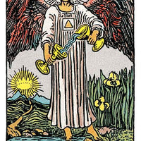 Tarot of A.E Waite Pocket AGM