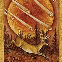 Chrysalis Tarot - Deck and Book Set