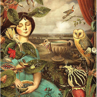 Dream Song Oracle