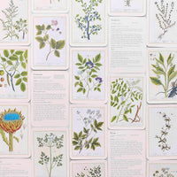 Healing Plants - 50 Botanical Cards