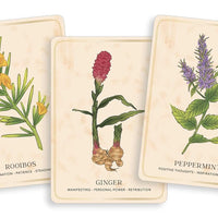 Herbal Tea Magic for the Modern Witch