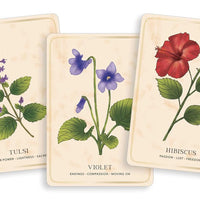 Herbal Tea Magic for the Modern Witch