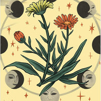 Herbana Witch Oracle
