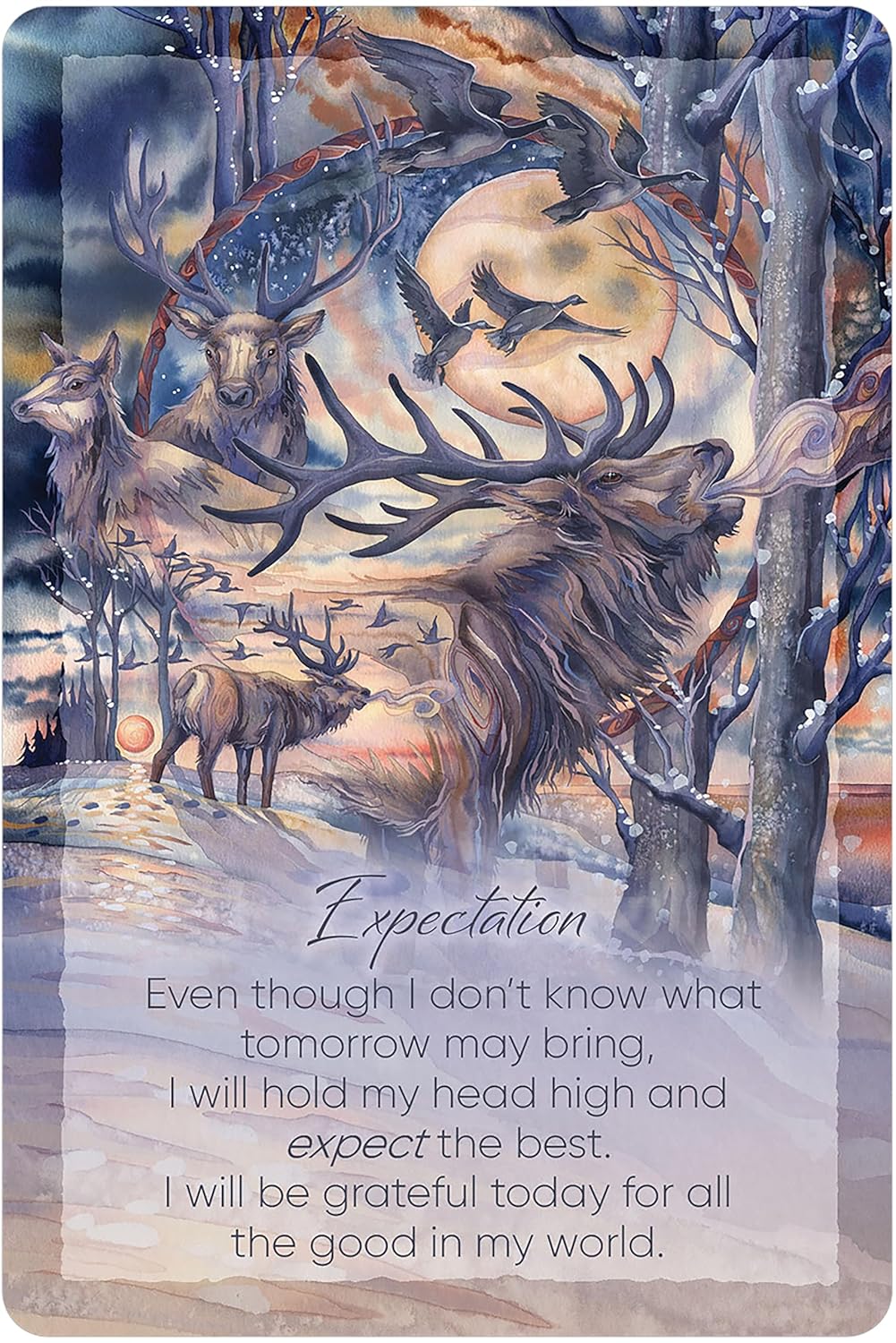 The Light Within Oracle