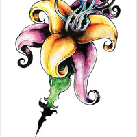 Malefique Lenormand