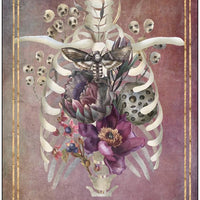 Memento Mori: 36 Mini Affirmation Cards to Embrace Life