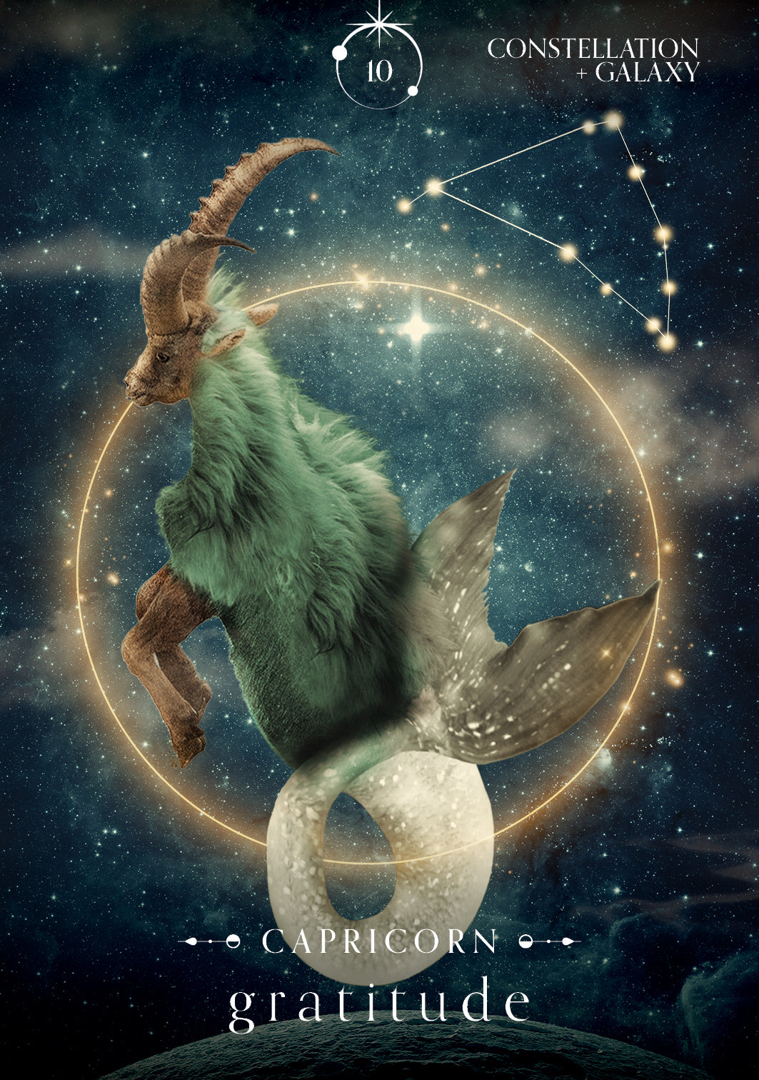 Oracle of The Universe