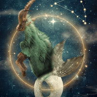 Oracle of The Universe