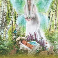 Pocket Oracle of the Fairies