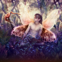 Pocket Oracle of the Fairies