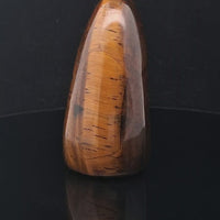 Tiger Eye Standing Freeform