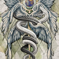 Starcodes Astro Oracle