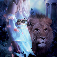Tarot De La Nuit