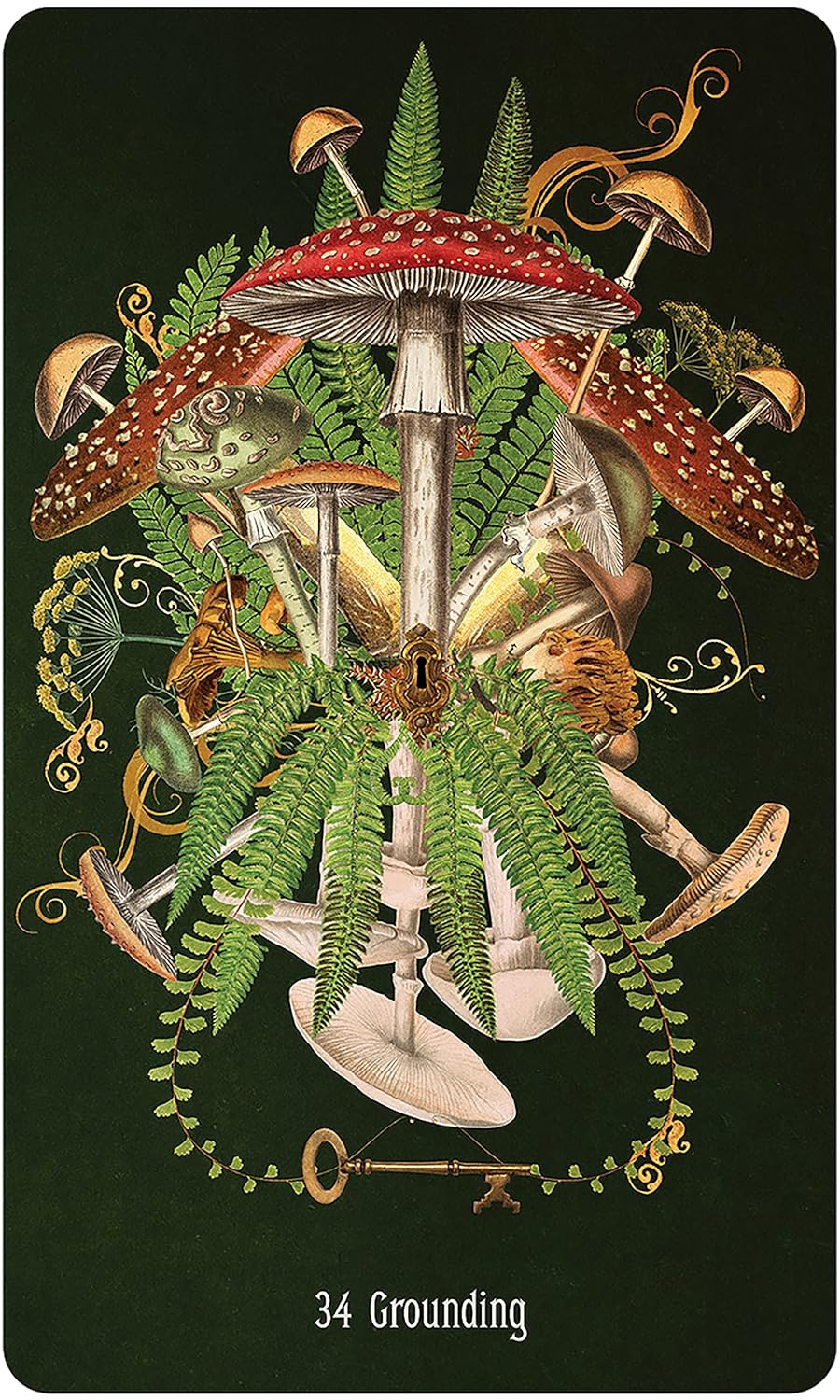 Unlocking The Secret Garden Oracle